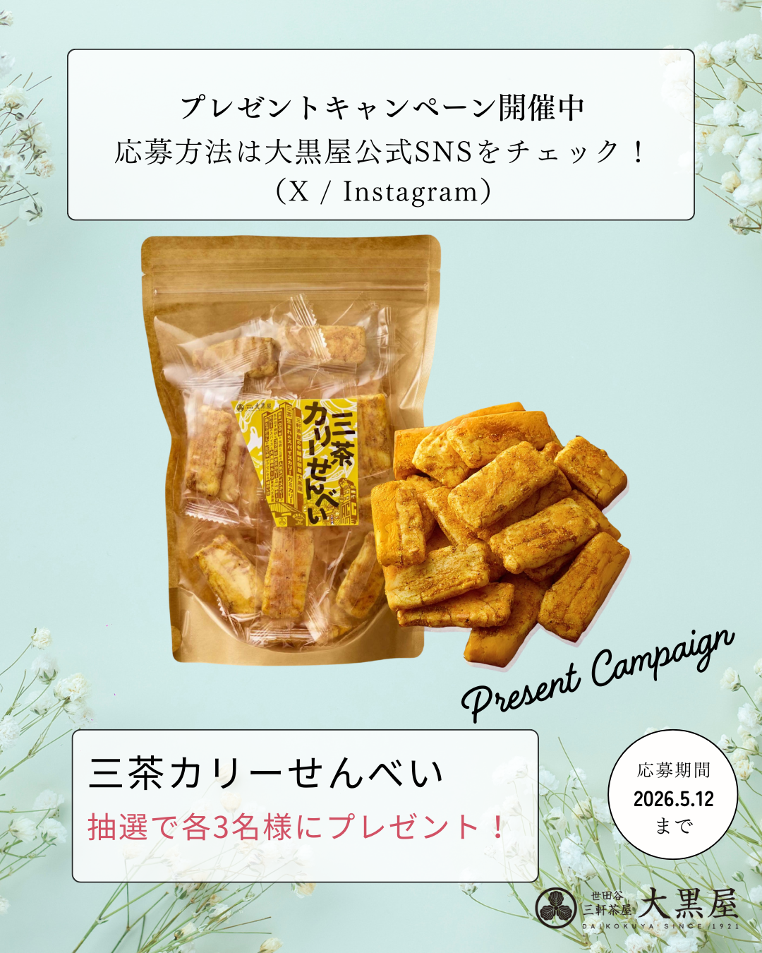🎉 プレゼントキャンペーン開催中！2026年5月 🎉