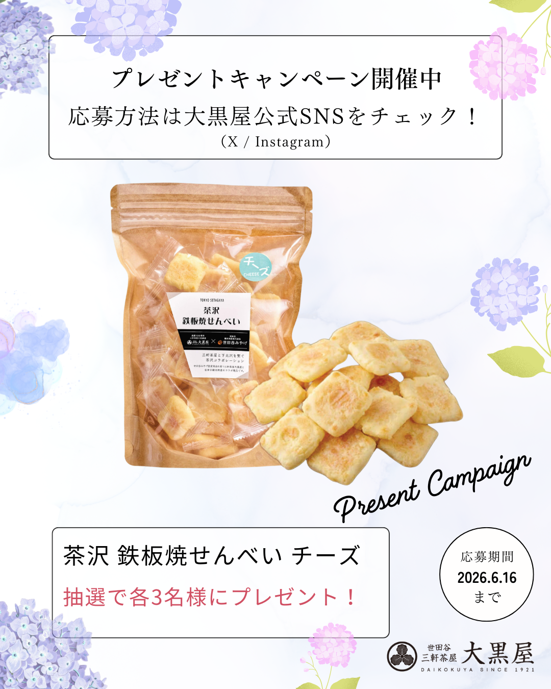🎉 プレゼントキャンペーン開催中！2026年6月 🎉